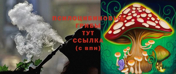 трава Балахна