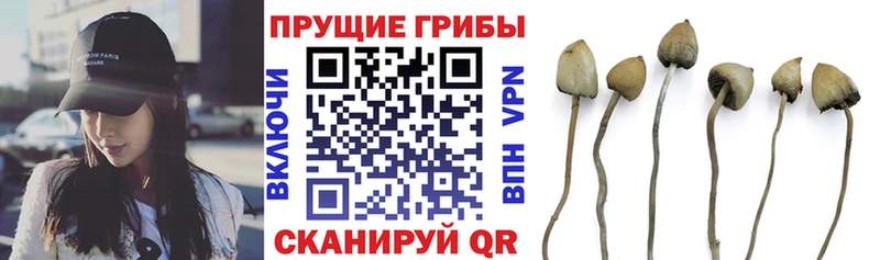 Галлюциногенные грибы прущие грибы Калининец